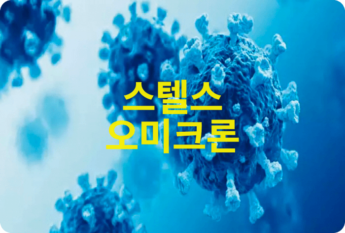 스텔스 오미크론 증상