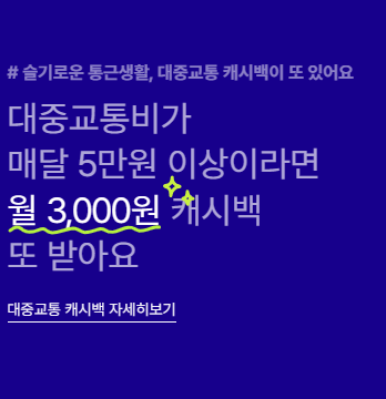 K-패스 교통카드