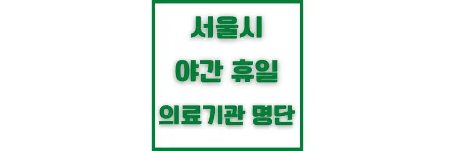 서울시 야간 휴일 의료 기관 명단
