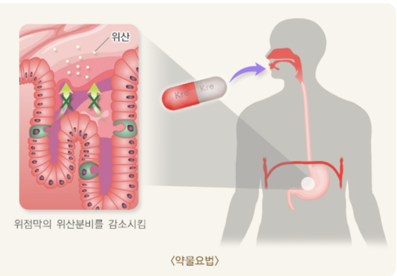 약물요법