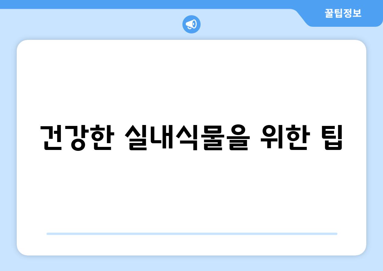 건강한 실내식물을 위한 팁