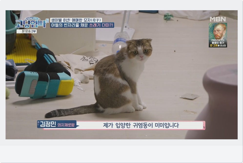 귀염둥이 미미