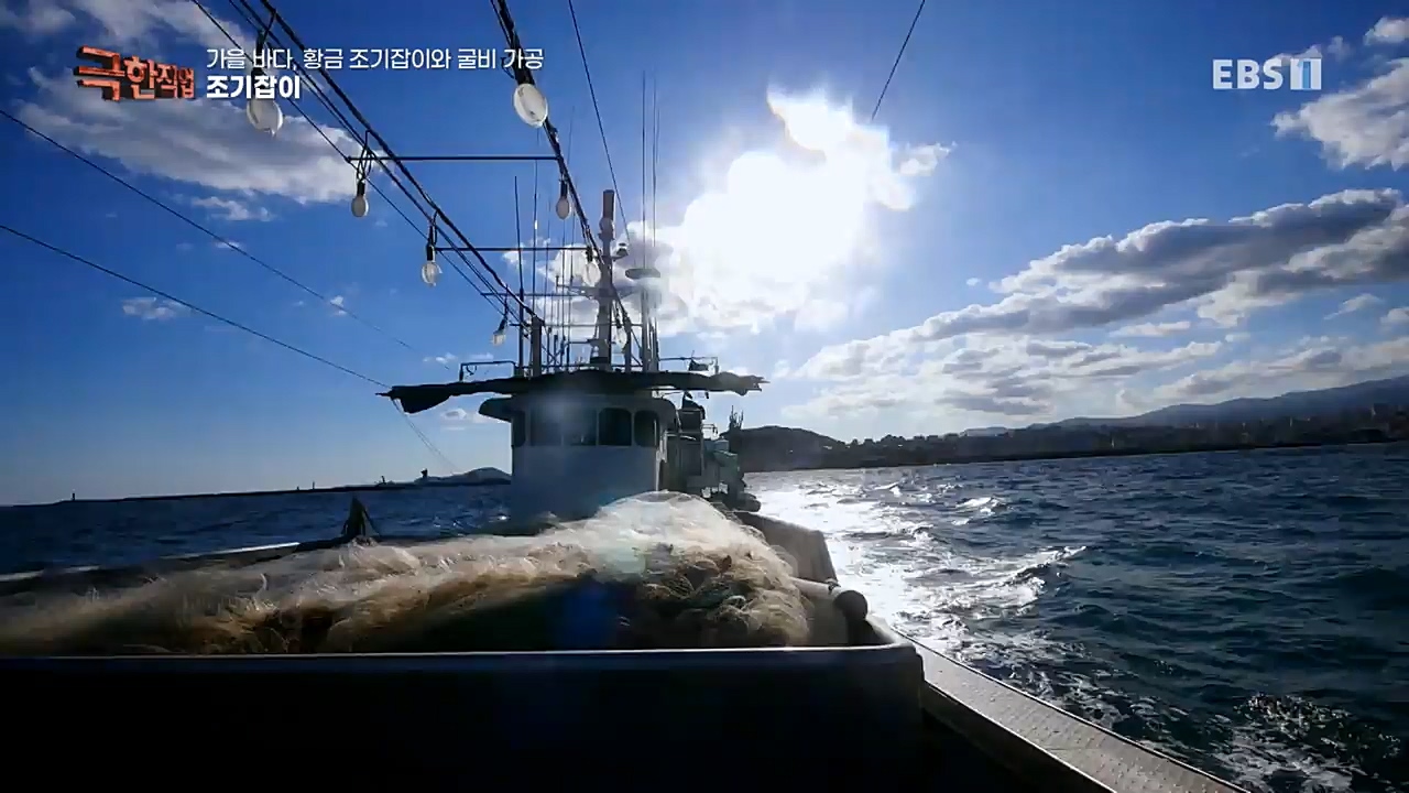 TV - 교육의 중심 EBS가을 바다 황금 조기잡이와 굴비 가공.mp4_20221122_195428.975.jpg