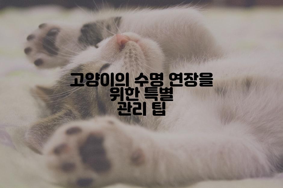 고양이의 수명 연장을 위한 특별 관리 팁