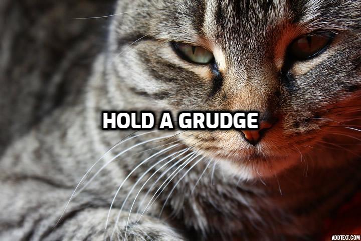  뒤끝있다 앙심을 품다 영어로 Hold a grudge 영어공부 혼자하기