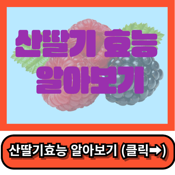 산딸기효능 당뇨환자먹는 꿀팁!!