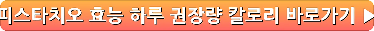 피스타치오 효능 하루 권장량 칼로리_12