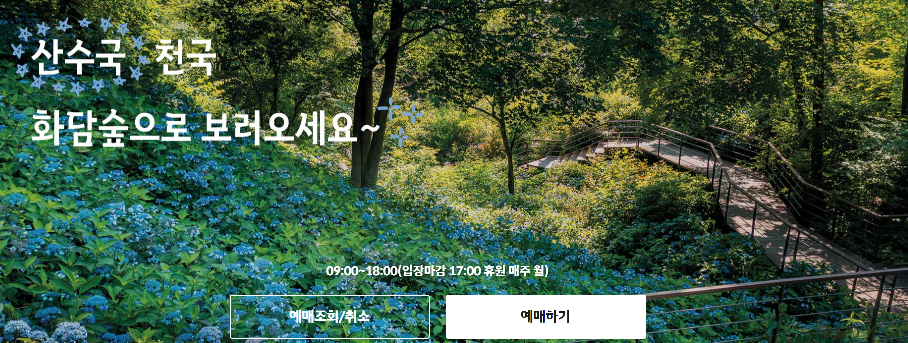 2024 전국 수국 축제 일정