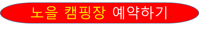 클릭 버튼