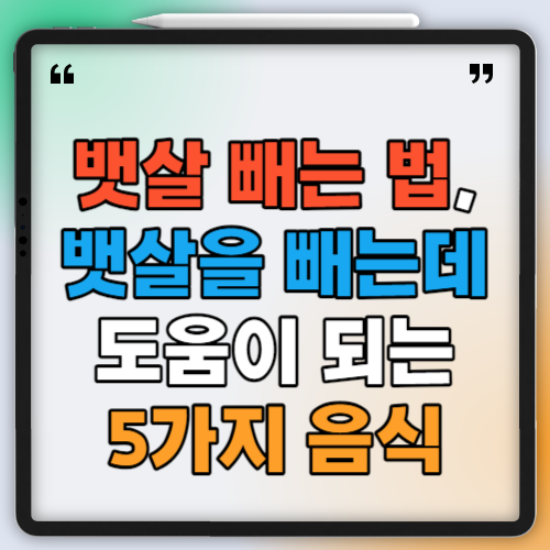 뱃살 빼는 법