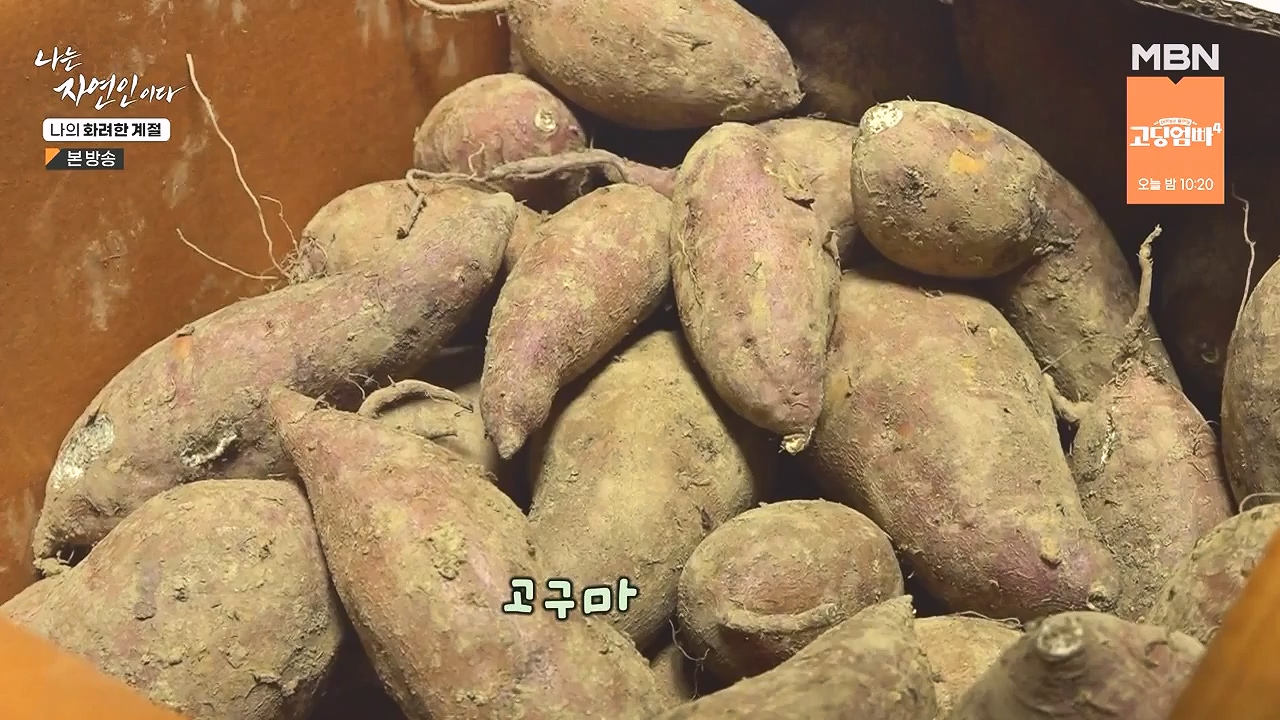 나는 자연인이다.E587.240104p-NEXT.mp4_20240104_195905.114.jpg