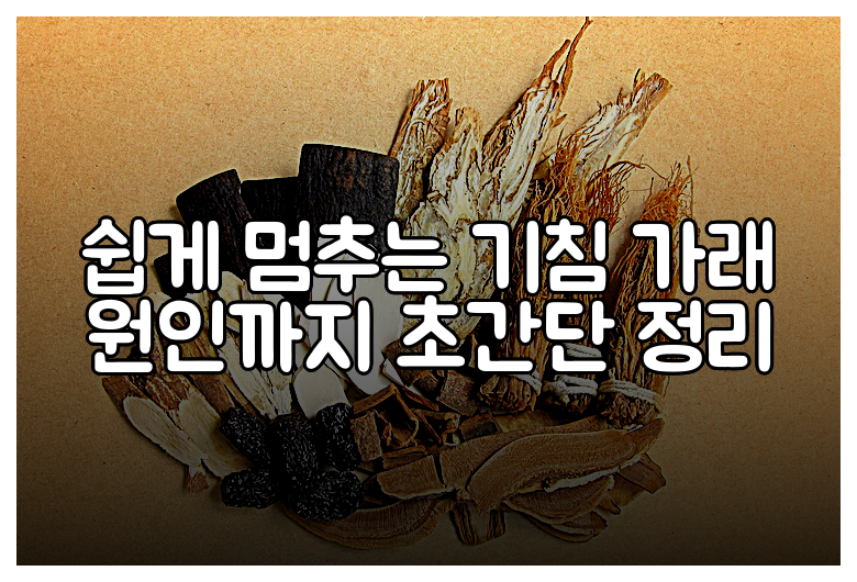 쉽게 멈추는 기침 가래 원인까지 초간단 정리
