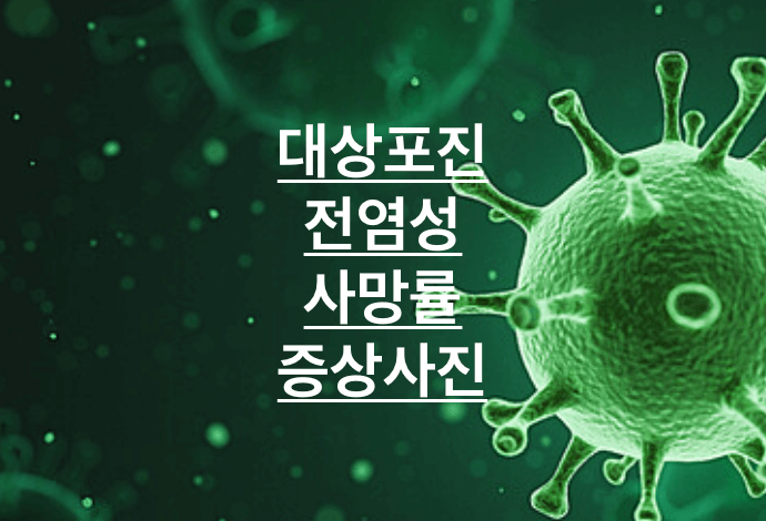 대상포진 사진