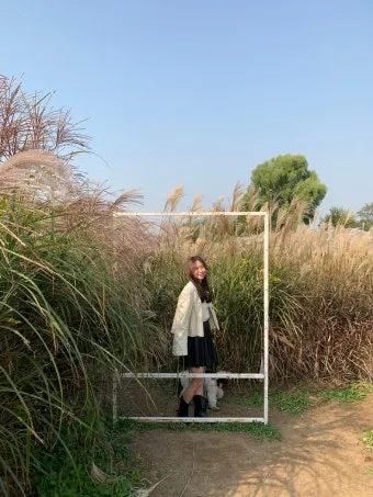 하늘공원 메타세콰이어길 산책 코스_22