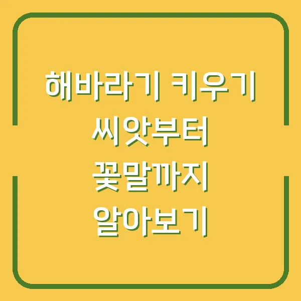 해바라기 키우기 씨앗부터 꽃말까지 알아보기