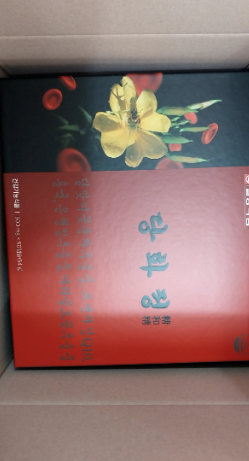 당화정 효능 가격 내돈내산 후기