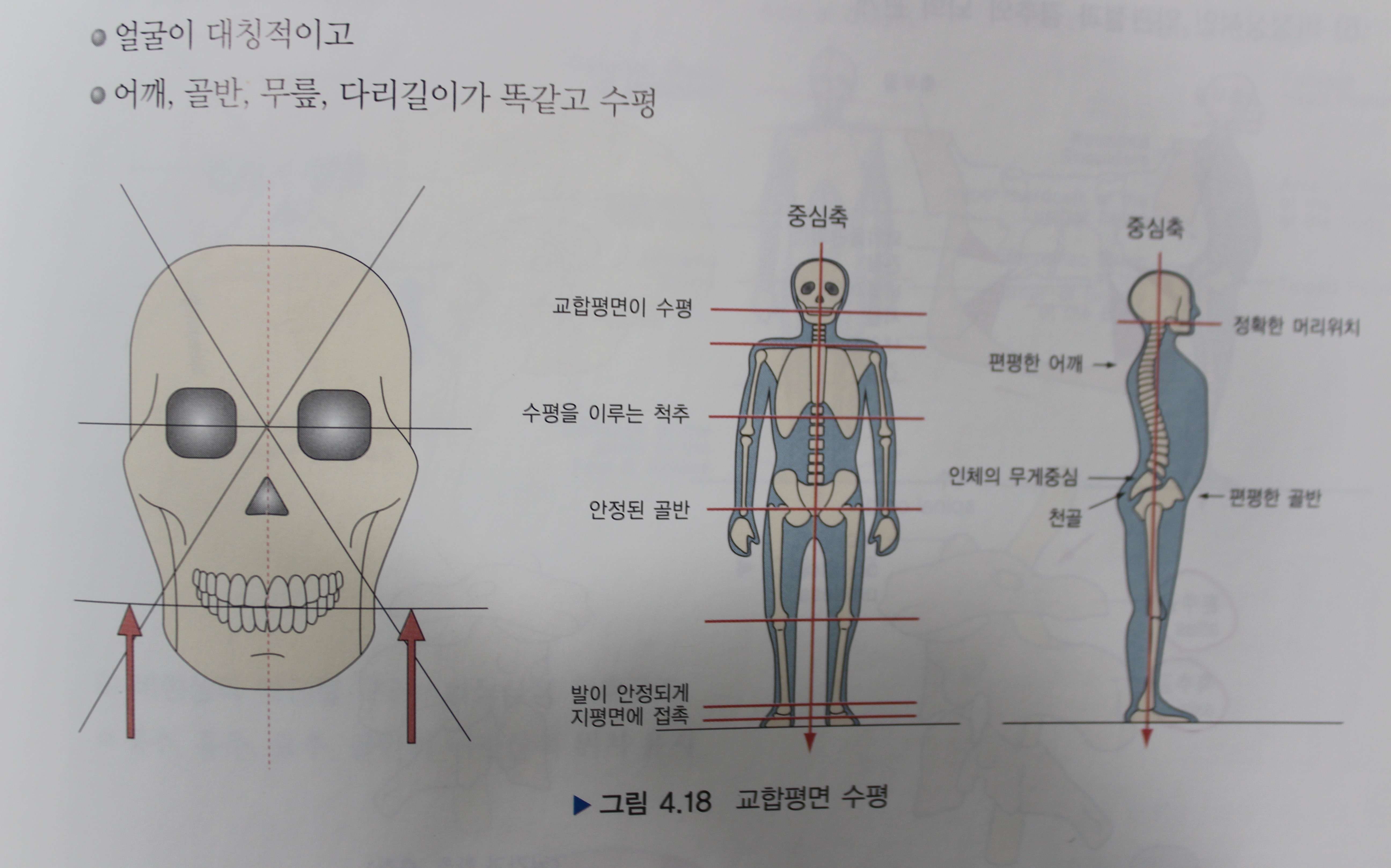 나의 턱과 척추가 틀어져서 치료가 안되는 걸까? :: 건강한 자연주의