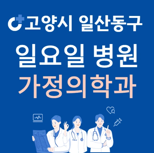 고양시-일산동구-일요일-가정의학과-진료하는곳-주말에-문여는-일산-24시간-가정의학과-병원-찾기