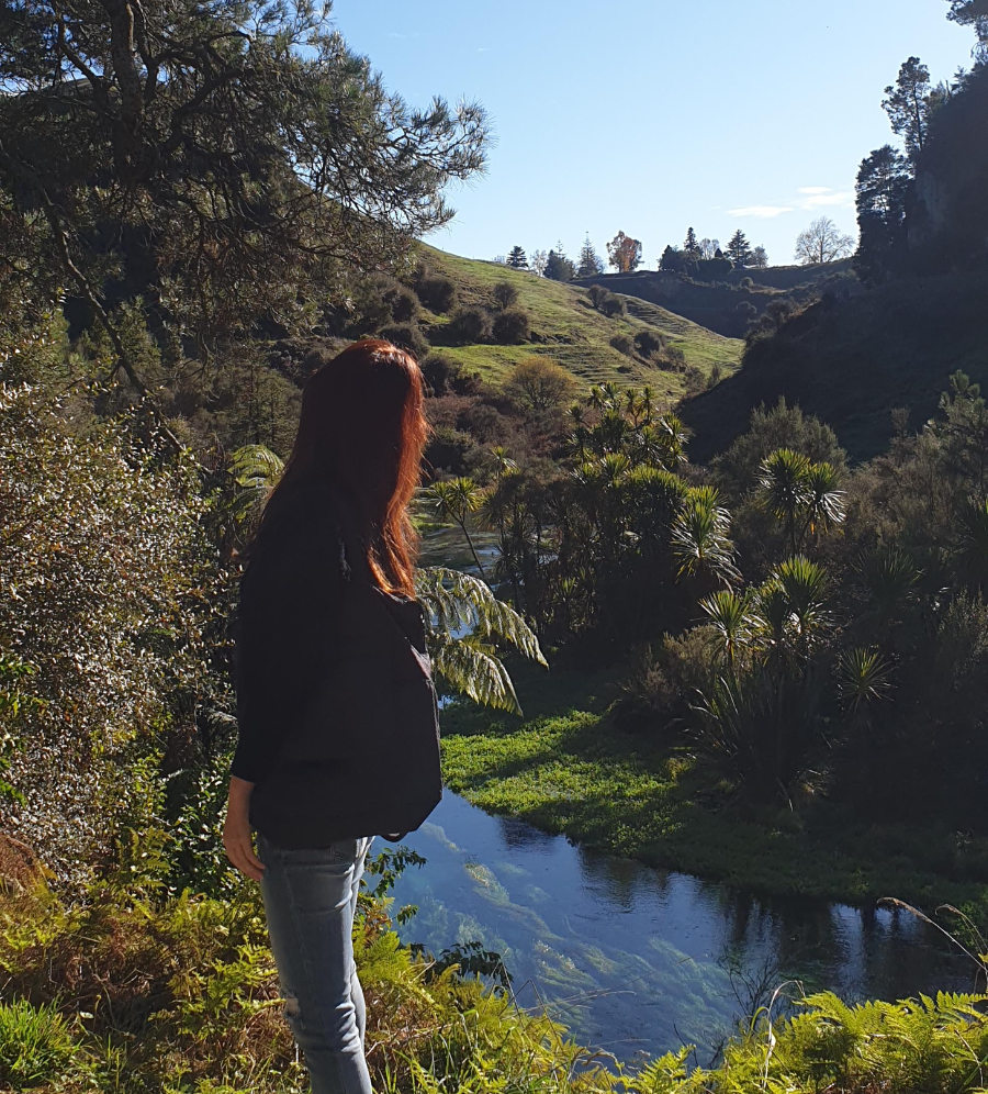 Blue Spring Putaruru