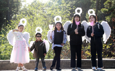 경기도 벚꽃축제&amp;#44; 여주흥천남한강 벚꽃축제 정보