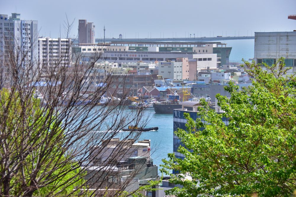 용두산 공원