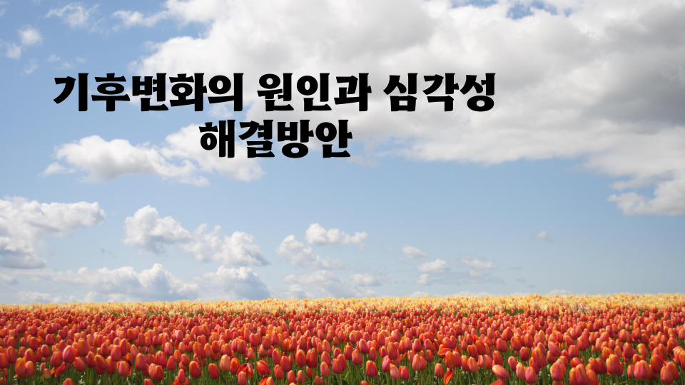  기후변화의 원인과 심각성  해결방안