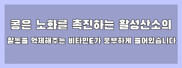  콩은 노화를 촉진하는 활성산소의 활동을 억제해주는 비타민E가 풍부하게 들어있습니다