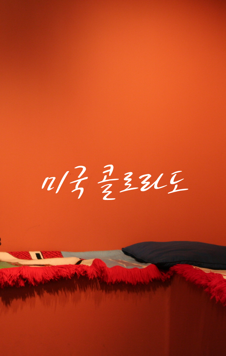  캐논 DSLR 카메라에 담긴 세상_3편 미국 콜로라도 덴버 도서관 & 아트 뮤지엄