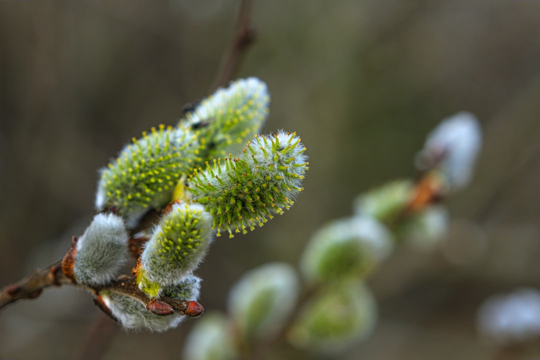 April