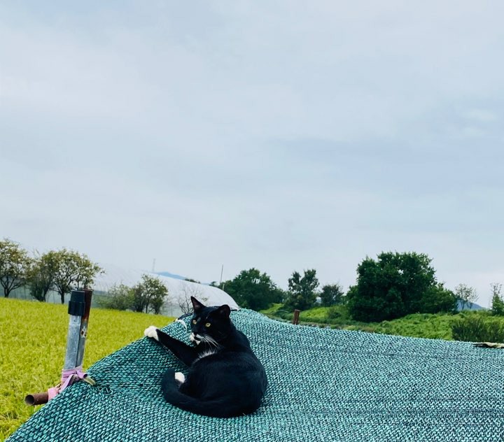 가을 들판 사진 가을 들판에서 3