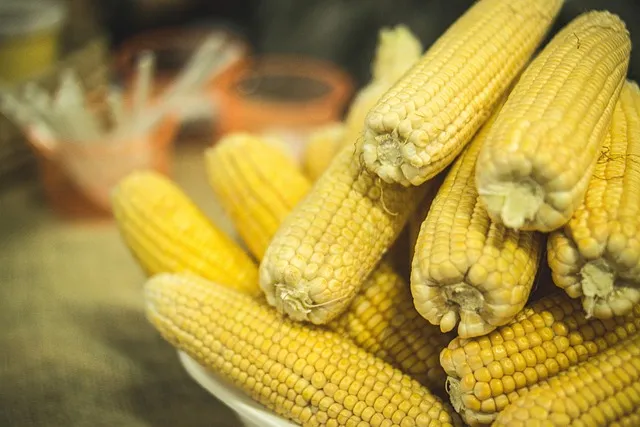 6월 제철 횟감 맛집 어디서 먹는 게 가장 맛있을까요 지역별 상세 추천_3