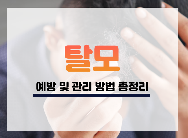  탈모 증상 예방 및 관리하는 방법 총정리 [탈모샴푸, 탈모약, 탈모병원치료]
