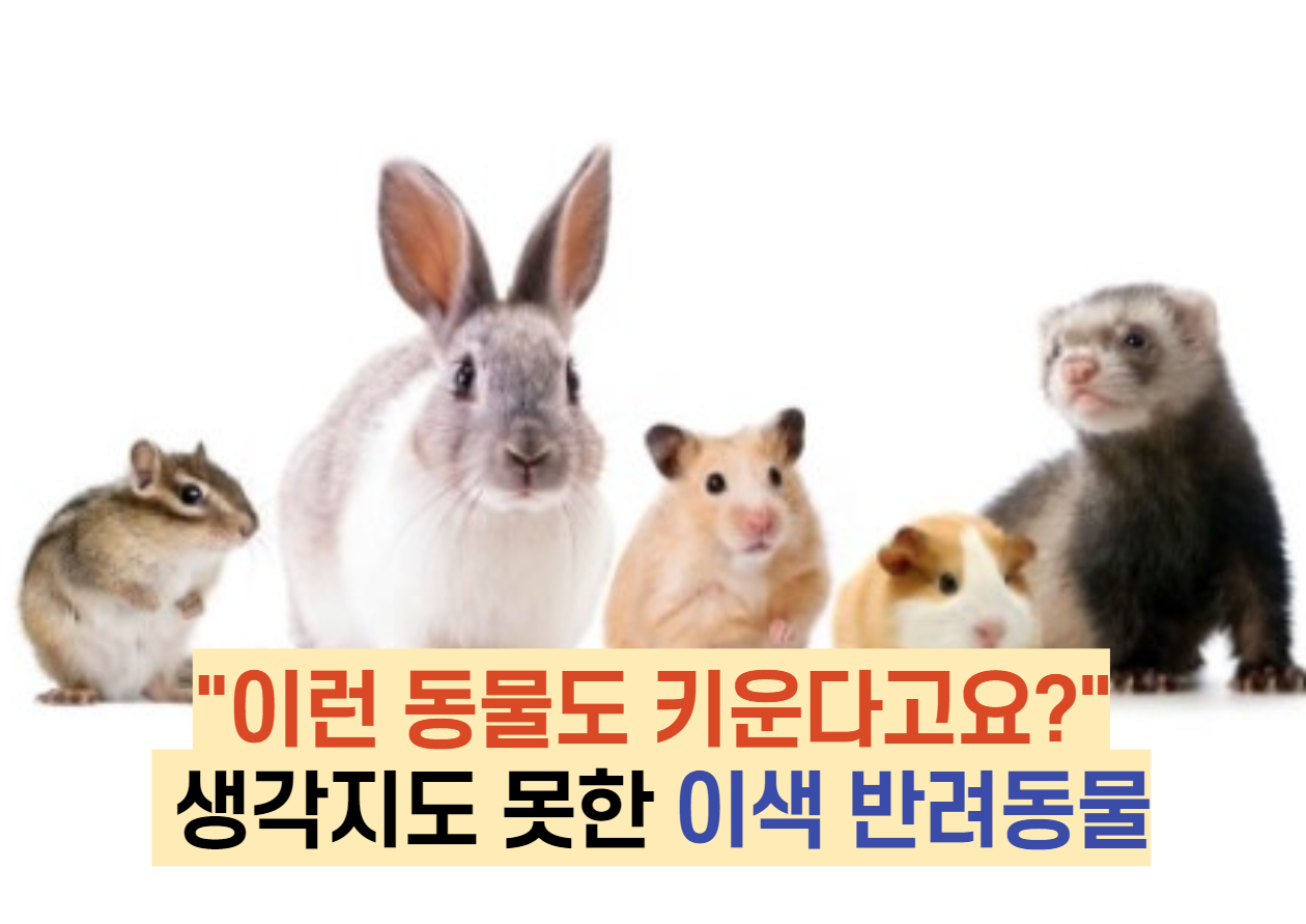  "이런 동물도 키운다고요?" 생각지도 못한 이색 반려동물