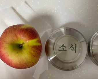  먹방에서 소식으로의 트렌드 변화로 인한 사회, 산업의 문화와 부작용