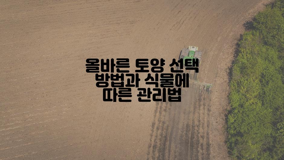 올바른 토양 선택 방법과 식물에 따른 관리법