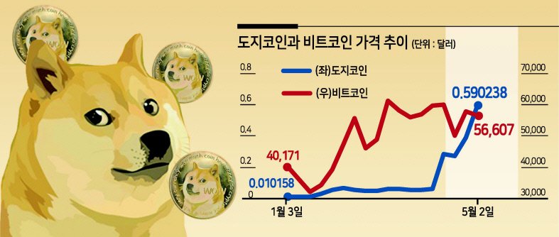  급등 아니면 급락...롤러코스터 탄 도지코인, 전망 엇갈려
