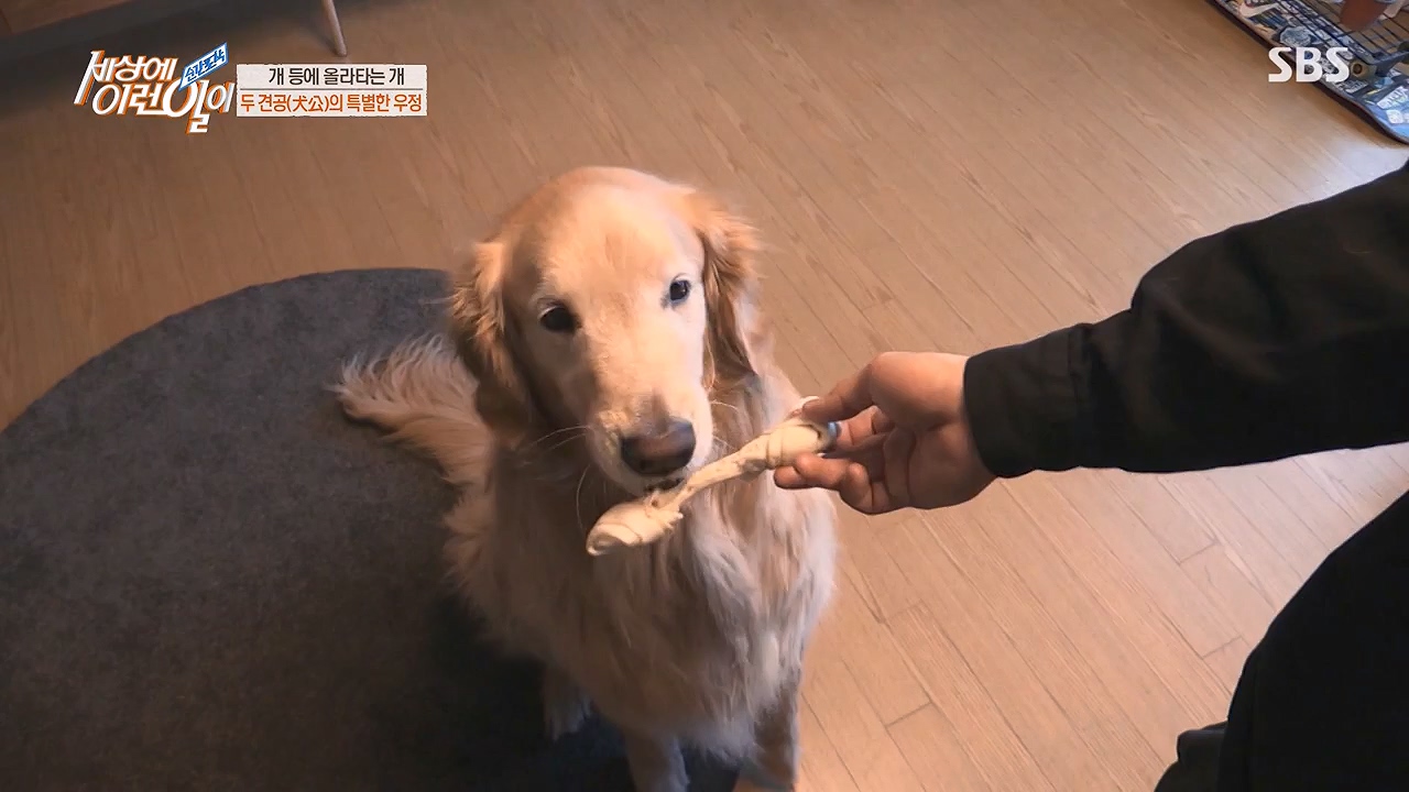 순간포착 세상에 이런일이.E1228p-NEXT.mp4_20230503_200106.862.jpg