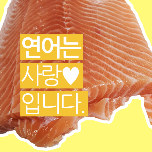  연어는 사랑입니다. / 연어의 효능