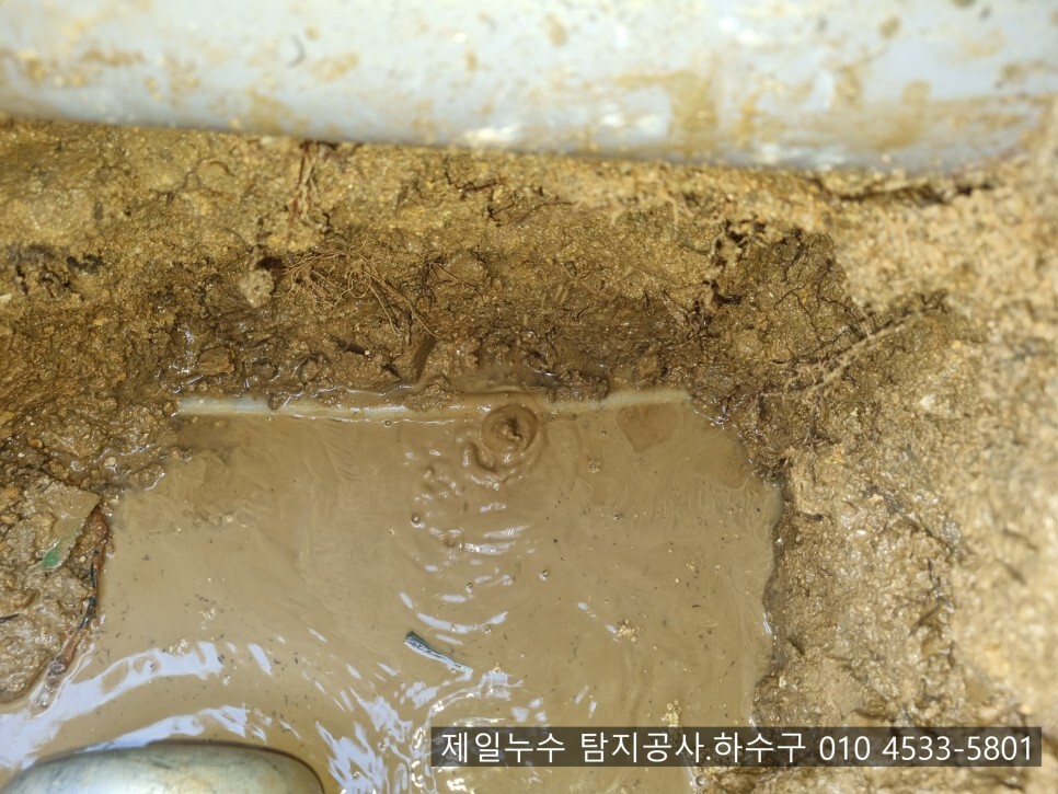  약목누수 제일누수 탐지.하수구 칠곡군 약목면 무림리 1층 단독주택 누수현장