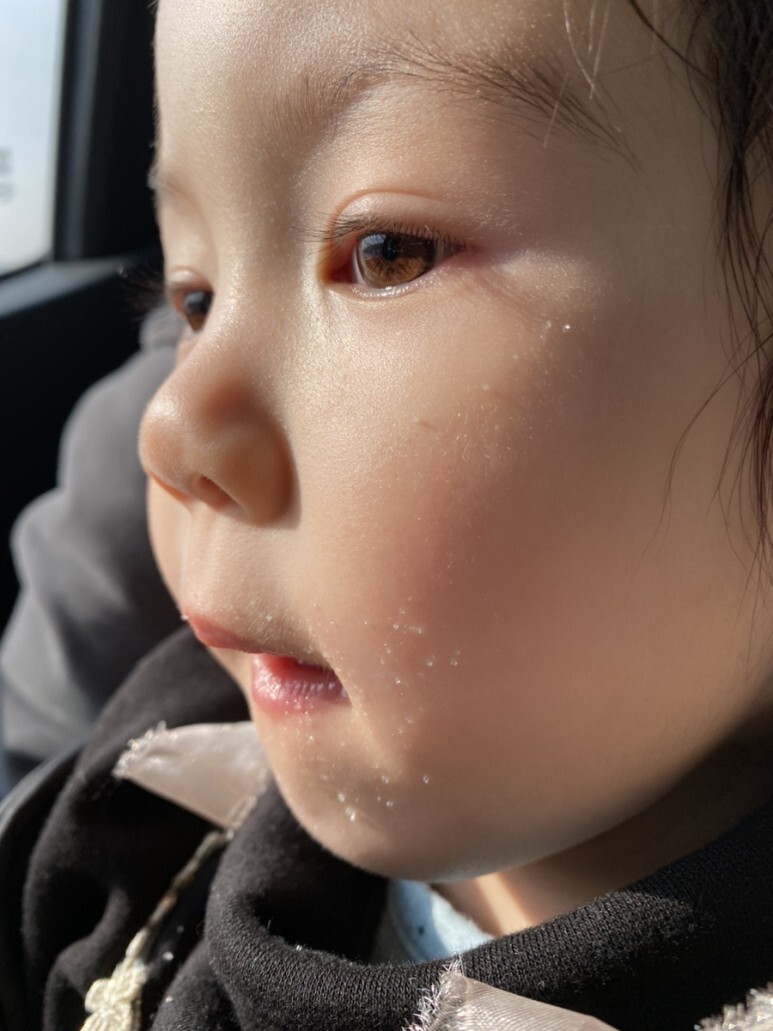 망원고로케 이미지
