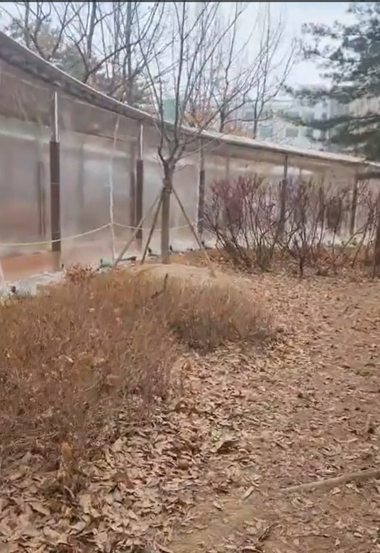 황토맨발걷기