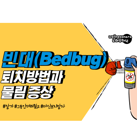 빈대 물림 증상 완화와 빈대 퇴치 방법, 신속하게 대처하세요!