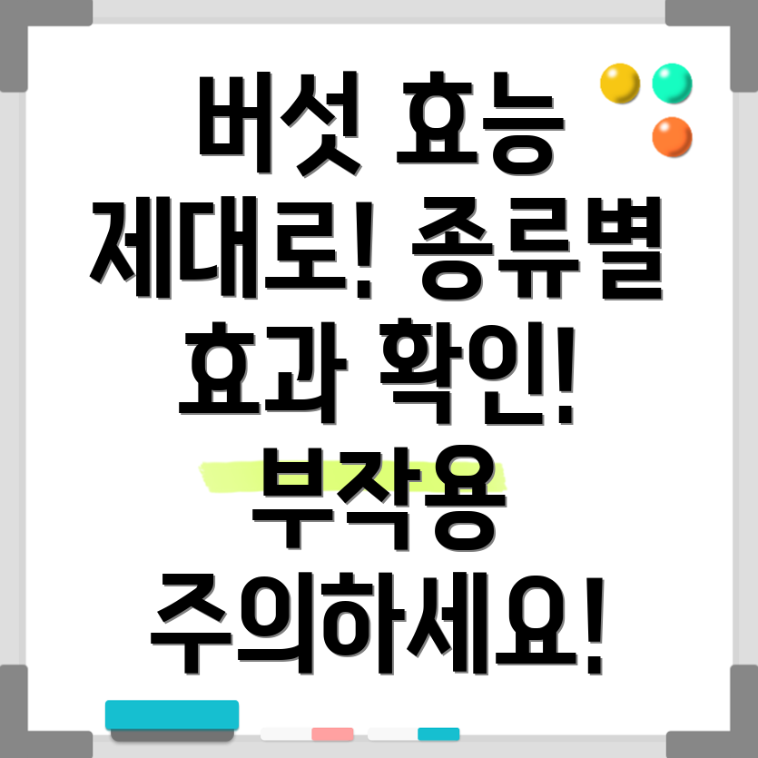 버섯
