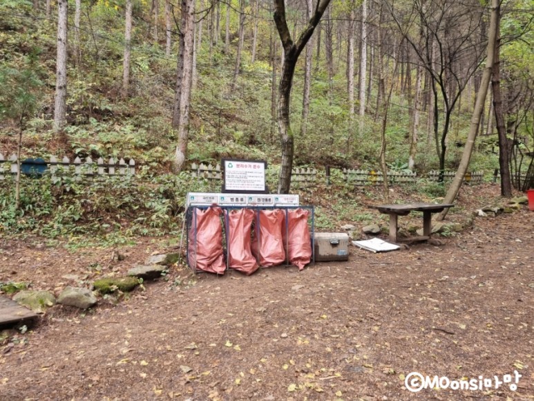 하늘그린캠프, 숲속의 5