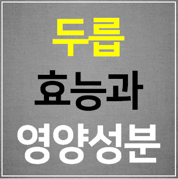  두릅의 영양성분 효능 먹는 방법 알아보기