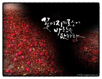 ⓒ네이버이미지