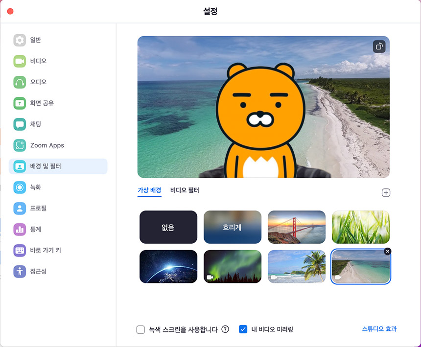  줌 배경화면 동영상으로 바꾸기, 동영상 다운로드 방법까지