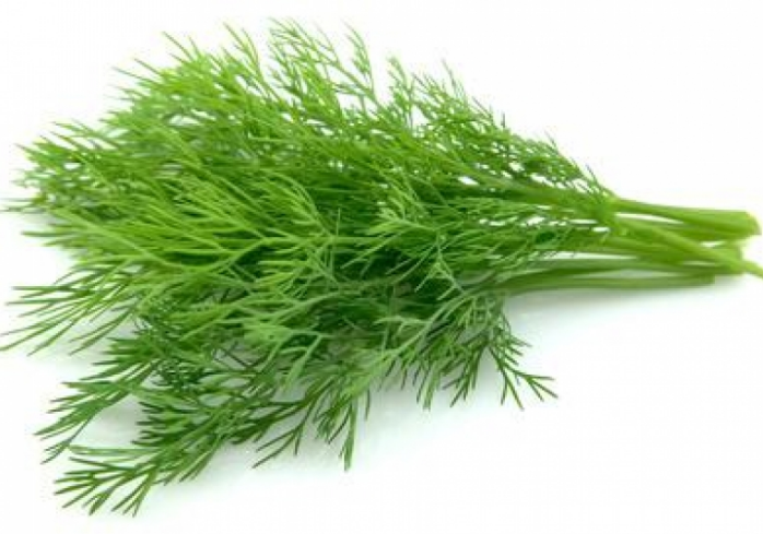  딜 (DILL) 효능 및 부작용, 올바른 섭취법 알고 가세요.