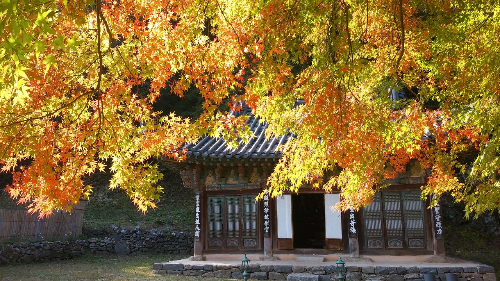 충남 공주