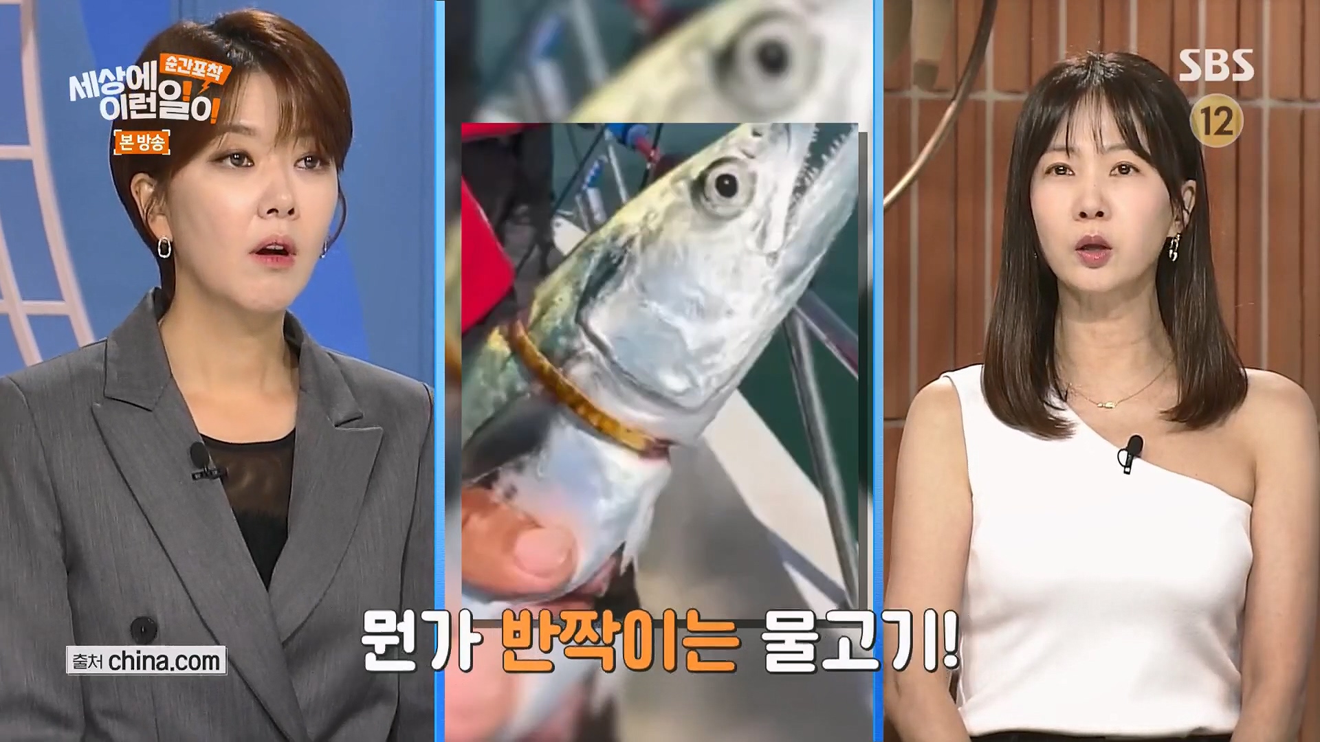 순간포착 세상에 이런일이.E1246.230916p.H264-F1RST.mp4_20230917_171119.763.jpg